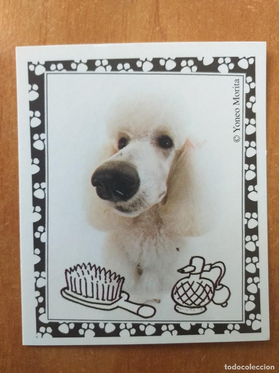 Coleccionismo cromos antiguos: CROMO COLECCI&Oacute;N MUNDO CANINO Y DIVERTIDO N&ordm; 125