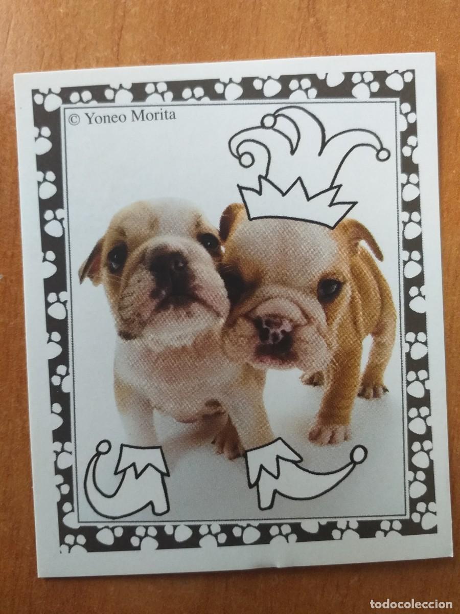Coleccionismo cromos antiguos: CROMO COLECCI&Oacute;N MUNDO CANINO Y DIVERTIDO N&ordm; 27