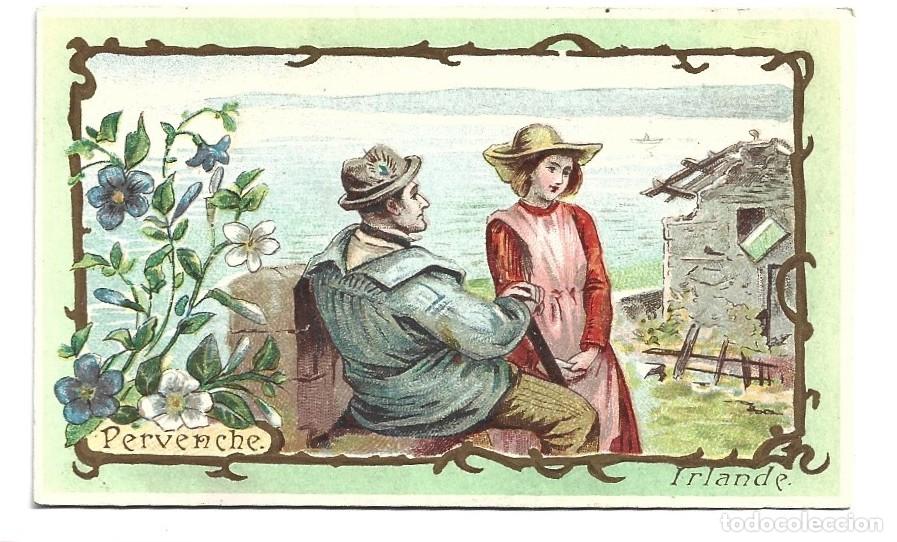 Coleccionismo cromos antiguos: CROMOS DE PAREJA DE PERVENCHE IRLANDE SIN PUBLICIDAD
