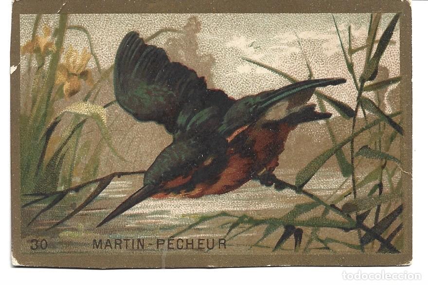 Coleccionismo cromos antiguos: CROMOS DE PAJARO MARTIN PECHEUR NO ESTADO PEGADO