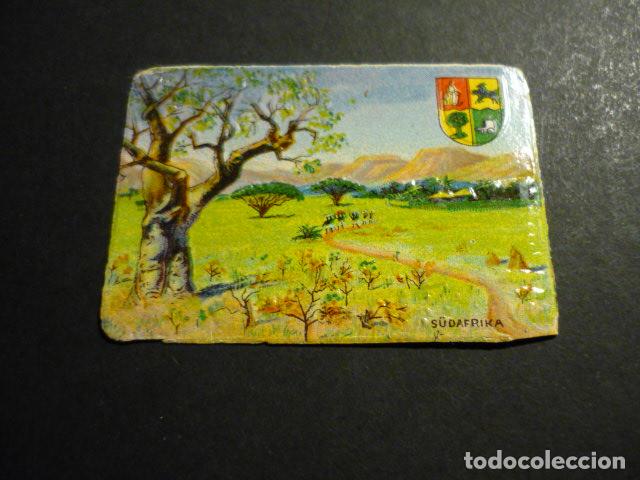 Coleccionismo cromos antiguos: ANTIGUO CROMO SUDAFRICA