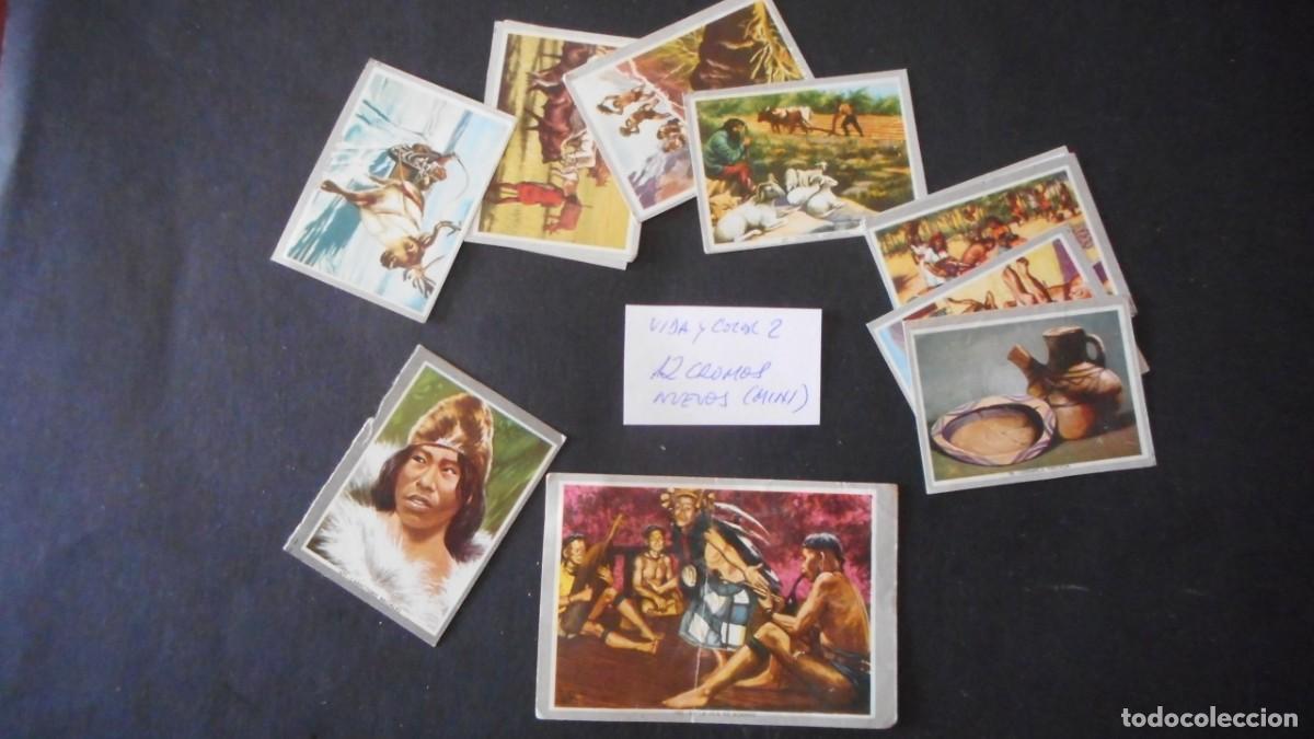 Coleccionismo cromos antiguos: CROMOS ( 12) VIDA Y COLOR 2 (MINIS) - Foto 1