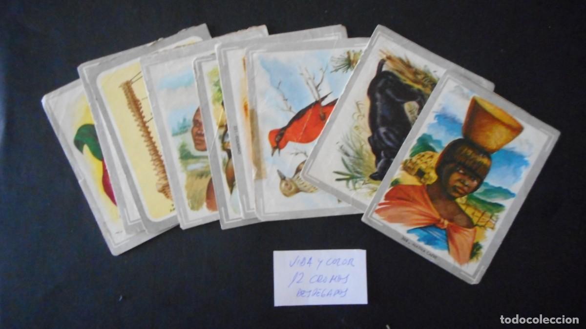 Coleccionismo cromos antiguos: CROMOS (LOTE 12) VIDA Y COLOR . - Foto 1