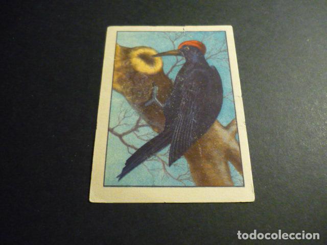 Coleccionismo cromos antiguos: CROMO ANTIGUO DE CHOCOLATES - Foto 1