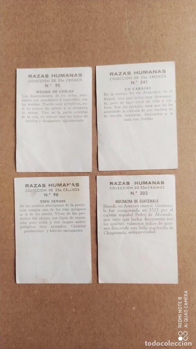 Coleccionismo cromos antiguos: RAZAS HUMANAS 95 WEDDA DE CEILAN SIN PEGAR - -M - Foto 2