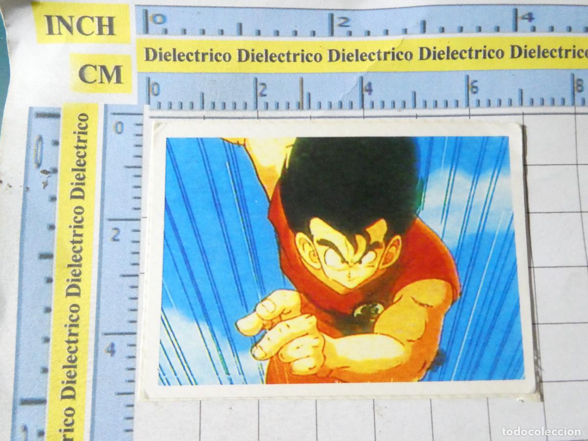 Colecionismo Cromos antigos: PEGATINA CROMO ADHESIVO. DRAGONBALL BOLA DE DRAGON Z. A15