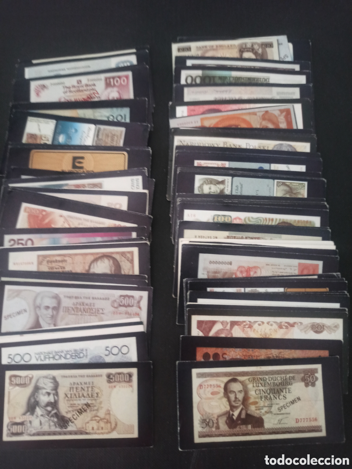 91 cromos stickline money
