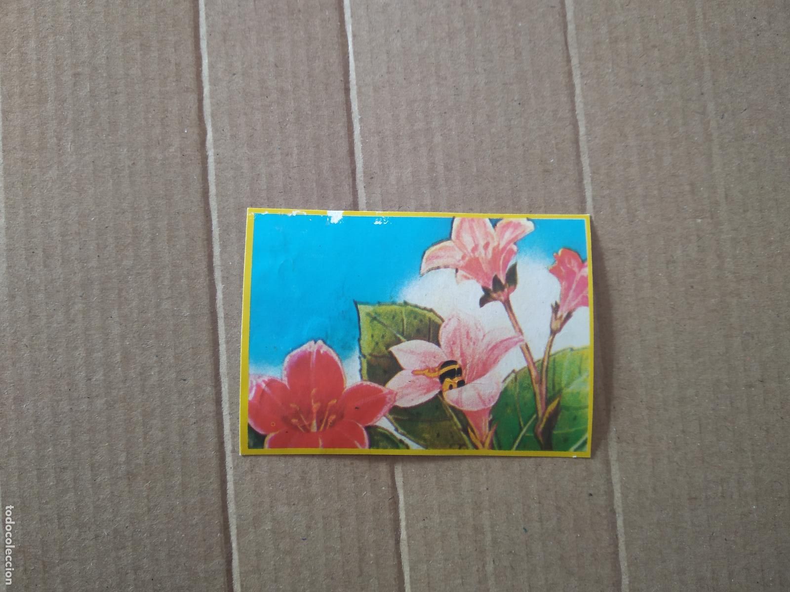 Coleccionismo cromos antiguos: 7 CROMO LAS AVENTURAS DE LA ABEJA MAYA DANONE - Foto 1