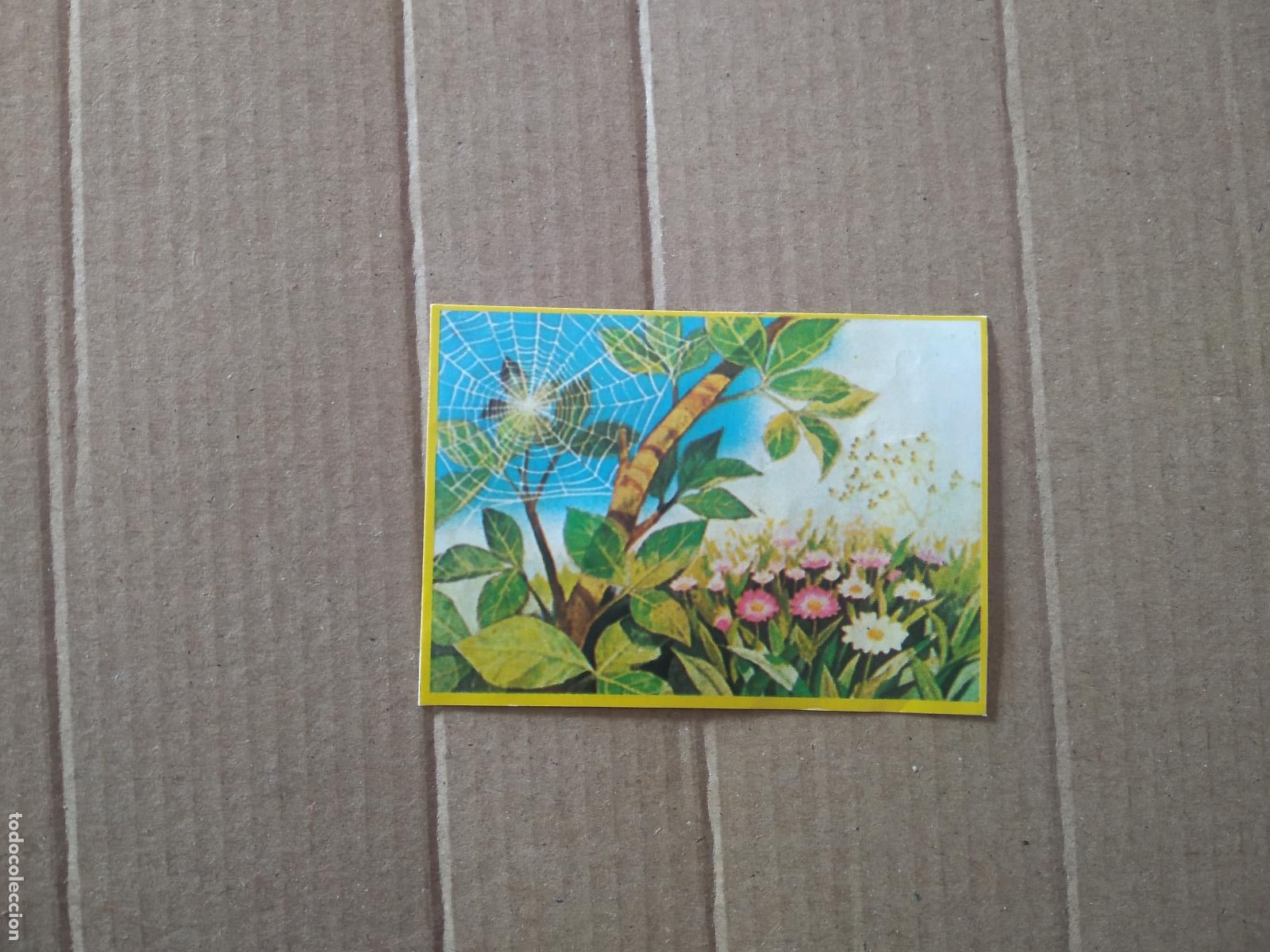 Coleccionismo cromos antiguos: 10 CROMO LAS AVENTURAS DE LA ABEJA MAYA DANONE - Foto 1