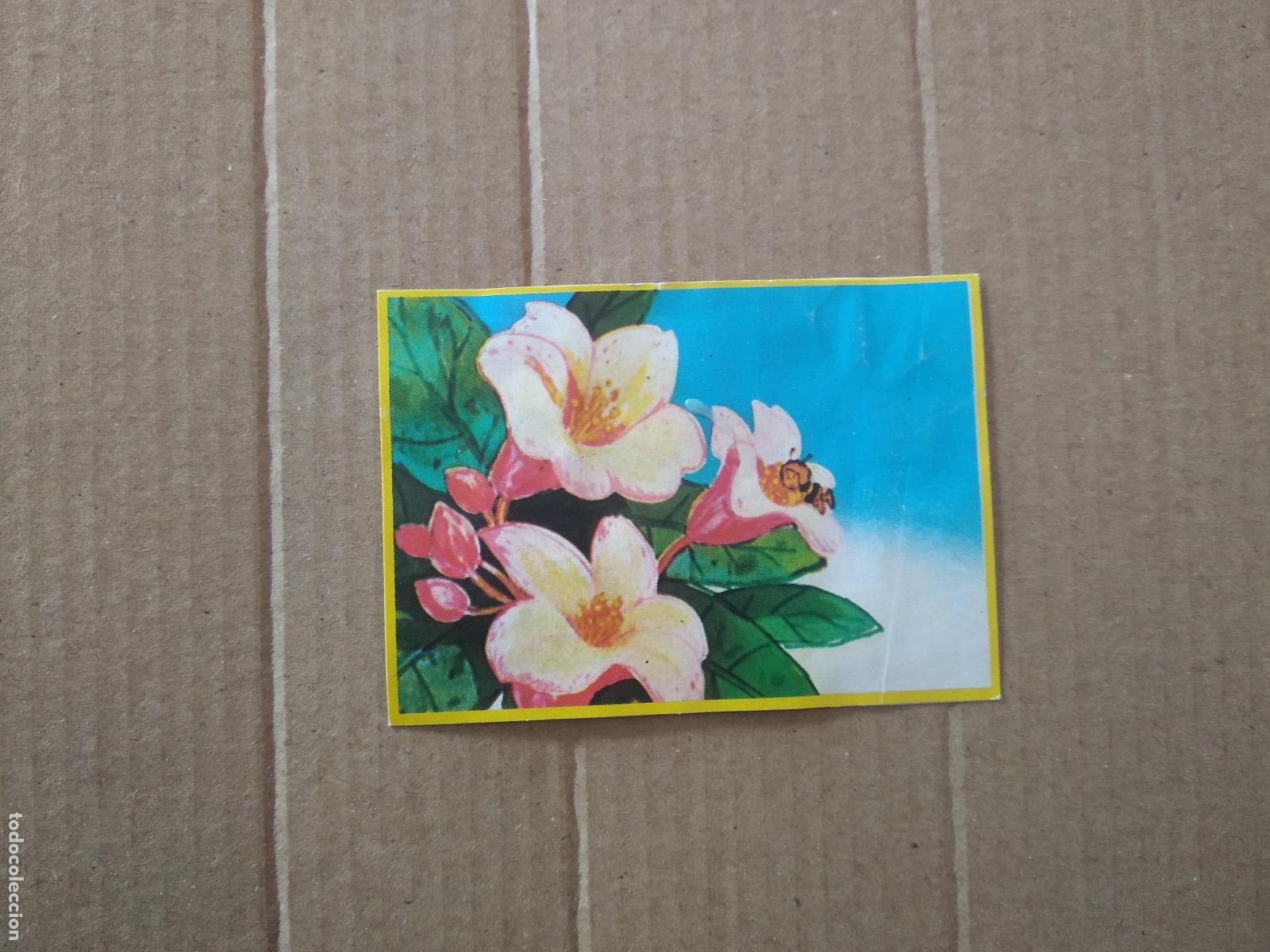 Coleccionismo cromos antiguos: 73 CROMO LAS AVENTURAS DE LA ABEJA MAYA DANONE - Foto 1