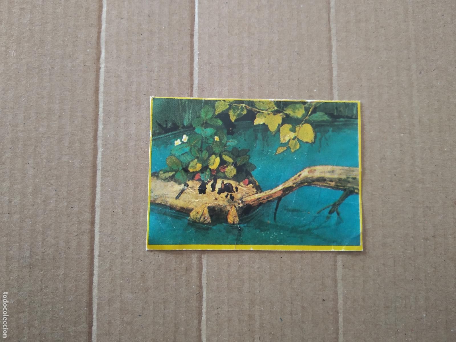 Coleccionismo cromos antiguos: 87 CROMO LAS AVENTURAS DE LA ABEJA MAYA DANONE - Foto 1