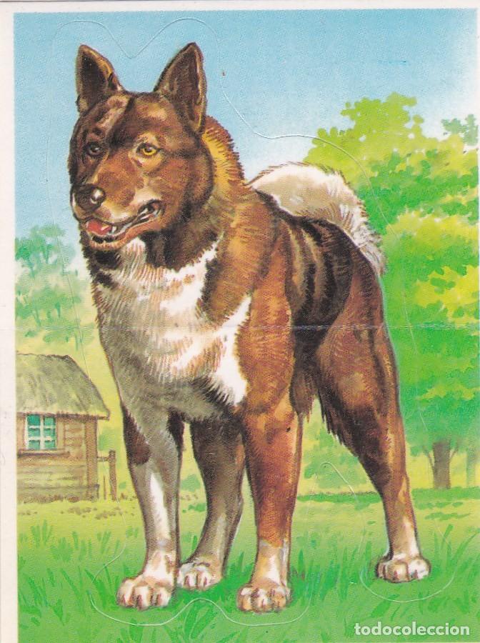Coleccionismo Cromos antiguos: CROMO BOLLYCAO TROQUELADO. &rdquo;TU MEJOR AMIGO&rdquo;. N&ordm; 9 PERRO LAIKA - PEGATINA