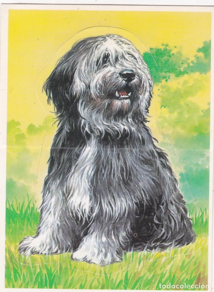 Coleccionismo Cromos antiguos: CROMO BOLLYCAO TROQUELADO. &rdquo;TU MEJOR AMIGO&rdquo;. N&ordm; 7 PERRO PASTOR POLACO - PEGATINA