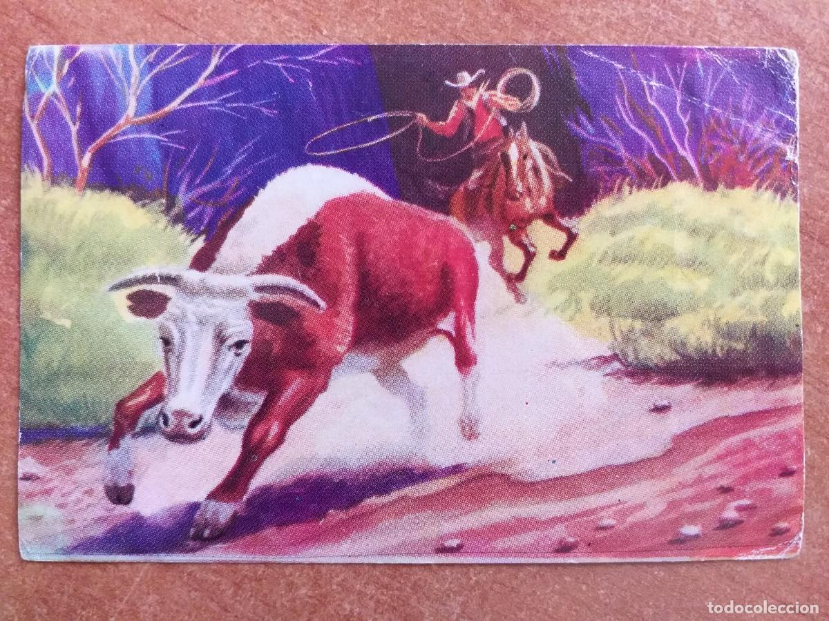 Coleccionismo cromos antiguos: CROMO N&ordm; 271 - RUDO ESFUERZO / ALBUM EL VIEJO OESTE