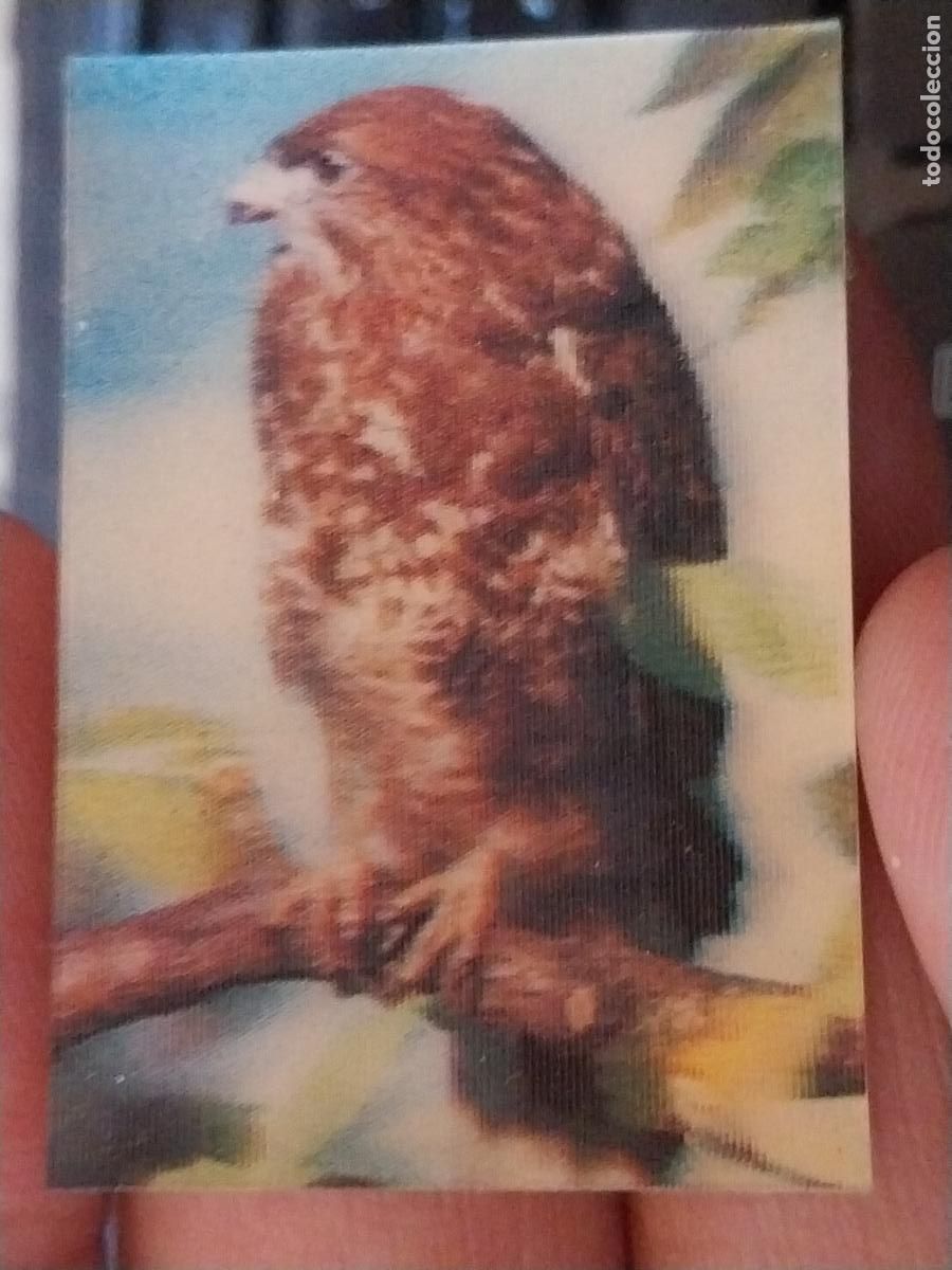 Coleccionismo Cromos antiguos: PANRICO RATONERO PASTELITOS PROMO MUNDO ANIMALES TRES DIMENSIONES CROMO N&ordm; 18 RECUPERADO
