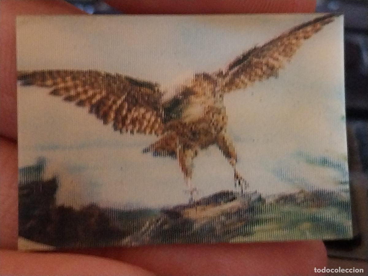 Coleccionismo Cromos antiguos: PANRICO HALC&Oacute;N PASTELITOS PROMO MUNDO ANIMALES TRES DIMENSIONES CROMO N&ordm; 19 RECUPERADO