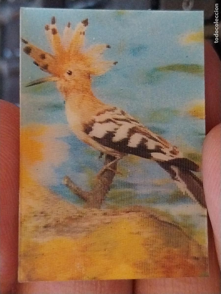 Coleccionismo Cromos antiguos: PANRICO ABUBILLA PASTELITOS PROMO MUNDO ANIMALES TRES DIMENSIONES CROMO N&ordm; 23 RECUPERADO