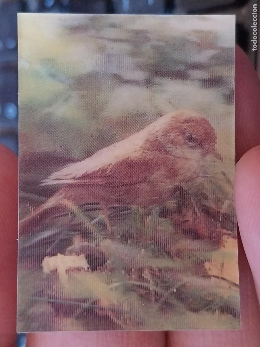 Coleccionismo Cromos antiguos: PANRICO RUISE&Ntilde;OR PASTELITOS PROMO MUNDO ANIMALES TRES DIMENSIONES CROMO N&ordm; 28 RECUPERADO