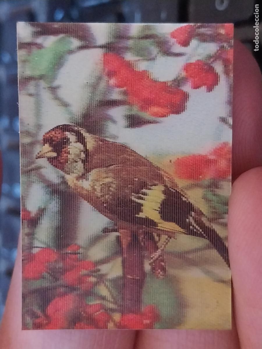 Coleccionismo Cromos antiguos: PANRICO JILGUERO PASTELITOS PROMO MUNDO ANIMALES TRES DIMENSIONES CROMO N&ordm; 30 RECUPERADO