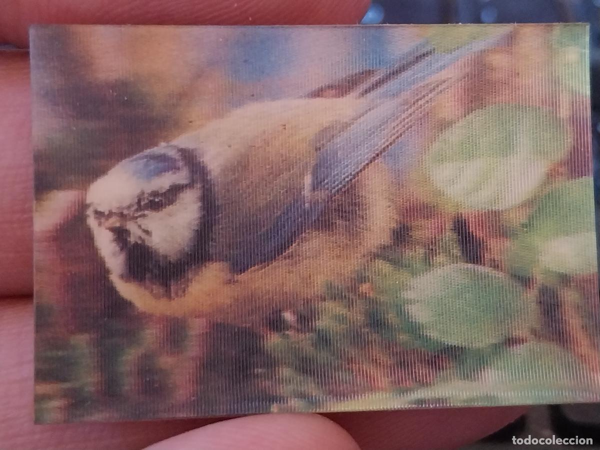 Coleccionismo Cromos antiguos: PANRICO HERRERILLO PASTELITOS PROMO MUNDO ANIMALES TRES DIMENSIONES CROMO N&ordm; 27 RECUPERADO