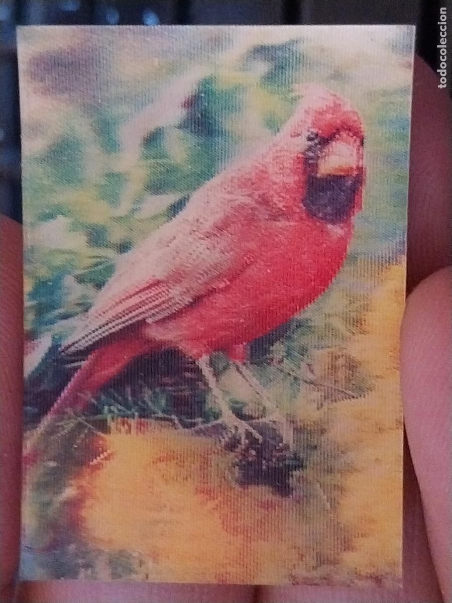 Coleccionismo Cromos antiguos: PANRICO CARDENAL PASTELITOS PROMO MUNDO ANIMALES TRES DIMENSIONES CROMO N&ordm; 39 RECUPERADO