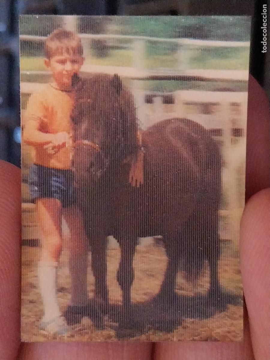 Coleccionismo Cromos antiguos: PANRICO PONNEY PONNY PASTELITOS PROMO MUNDO ANIMALES TRES DIMENSIONES CROMO N&ordm; 45 RECUPERADO