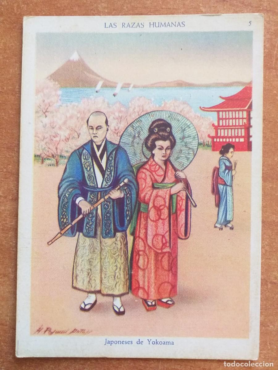 Coleccionismo cromos antiguos: COLECCI&Oacute;N LAS RAZAS HUMANA - CROMO N&ordm; 5 - JAPONESES DE YOKOOMA