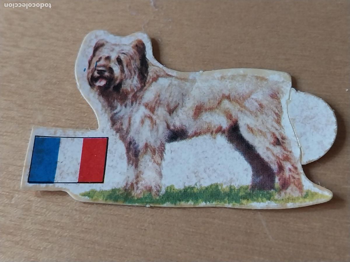 Coleccionismo Cromos antiguos: PANRICO PASTOR BRIE * N&ordm; 48 CROMO SIN PEGAR NUNCA COL PERROS A&Ntilde;OS 70 PASTELITOS PROMO