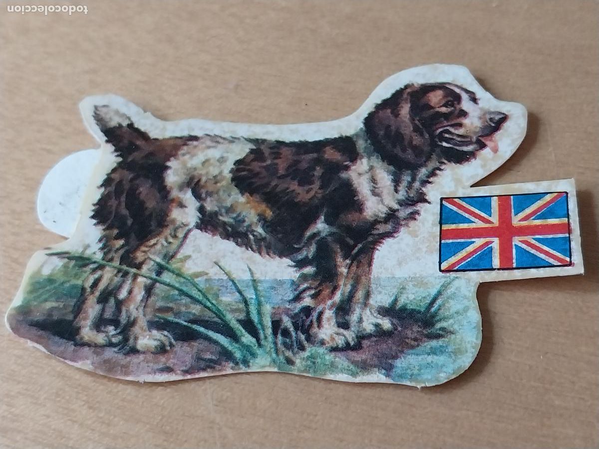 Coleccionismo Cromos antiguos: PANRICO PACHON AGUA * N&ordm; 62 CROMO SIN PEGAR NUNCA COL PERROS A&Ntilde;OS 70 PASTELITOS PROMO
