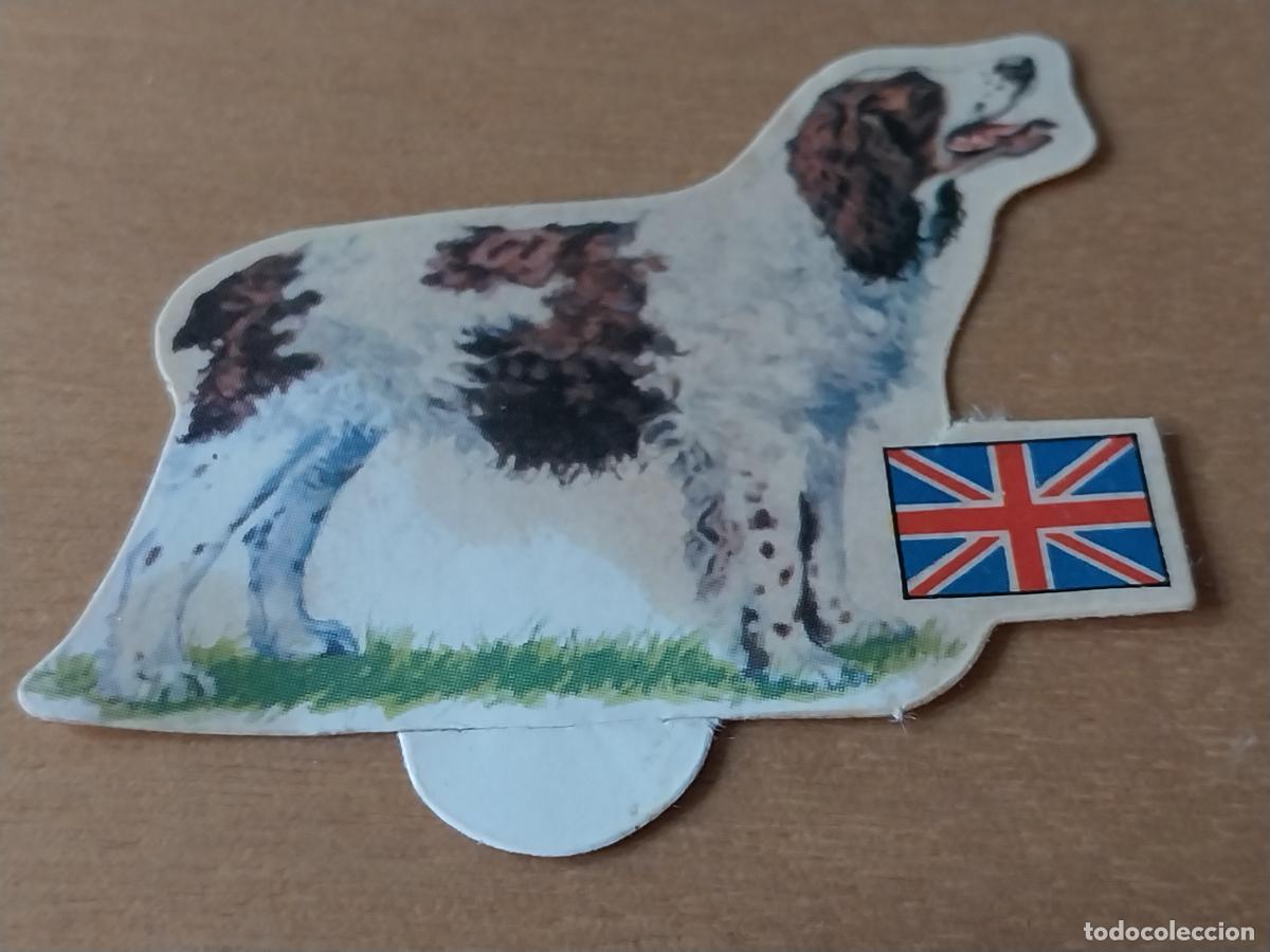 Coleccionismo Cromos antiguos: PANRICO SPRINGER SPANIEL N&ordm; 64 CROMO SIN PEGAR NUNCA COL PERROS A&Ntilde;OS 70 PASTELITOS PROMO