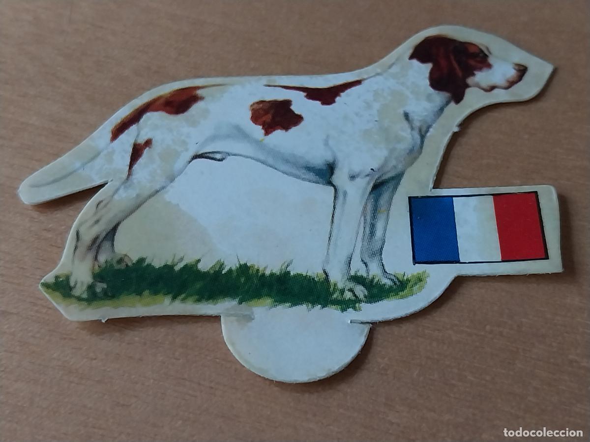 Coleccionismo Cromos antiguos: PANRICO BRAQUE N&ordm; 63 CROMO SIN PEGAR NUNCA COL PERROS A&Ntilde;OS 70 PASTELITOS PROMO