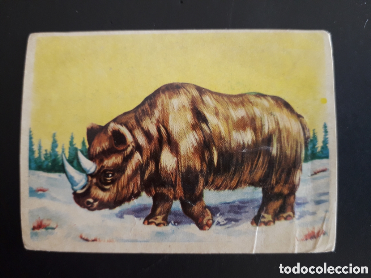 Sammeln alte Sammelbilder: FAUNA PREHIST&Oacute;RICA, CONOCIMIENTOS UNIVERSALES N&deg; 207 BIMBO 1963 SIN PEGAR PEDIDO M&Iacute;NIMO 3&euro;