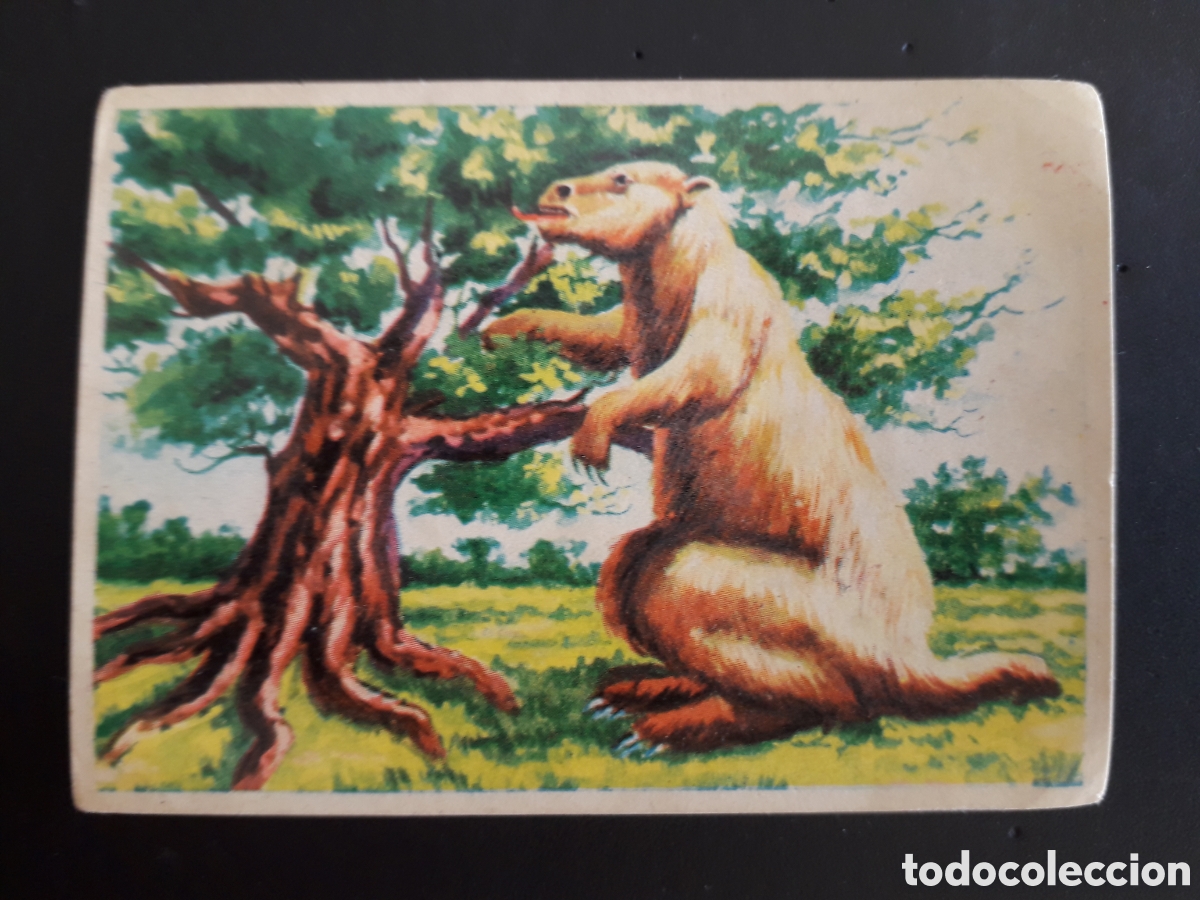 Coleccionismo cromos antiguos: FAUNA PREHIST&Oacute;RICA, CONOCIMIENTOS UNIVERSALES N&deg; 204 BIMBO 1963 SIN PEGAR PEDIDO M&Iacute;NIMO 3&euro;