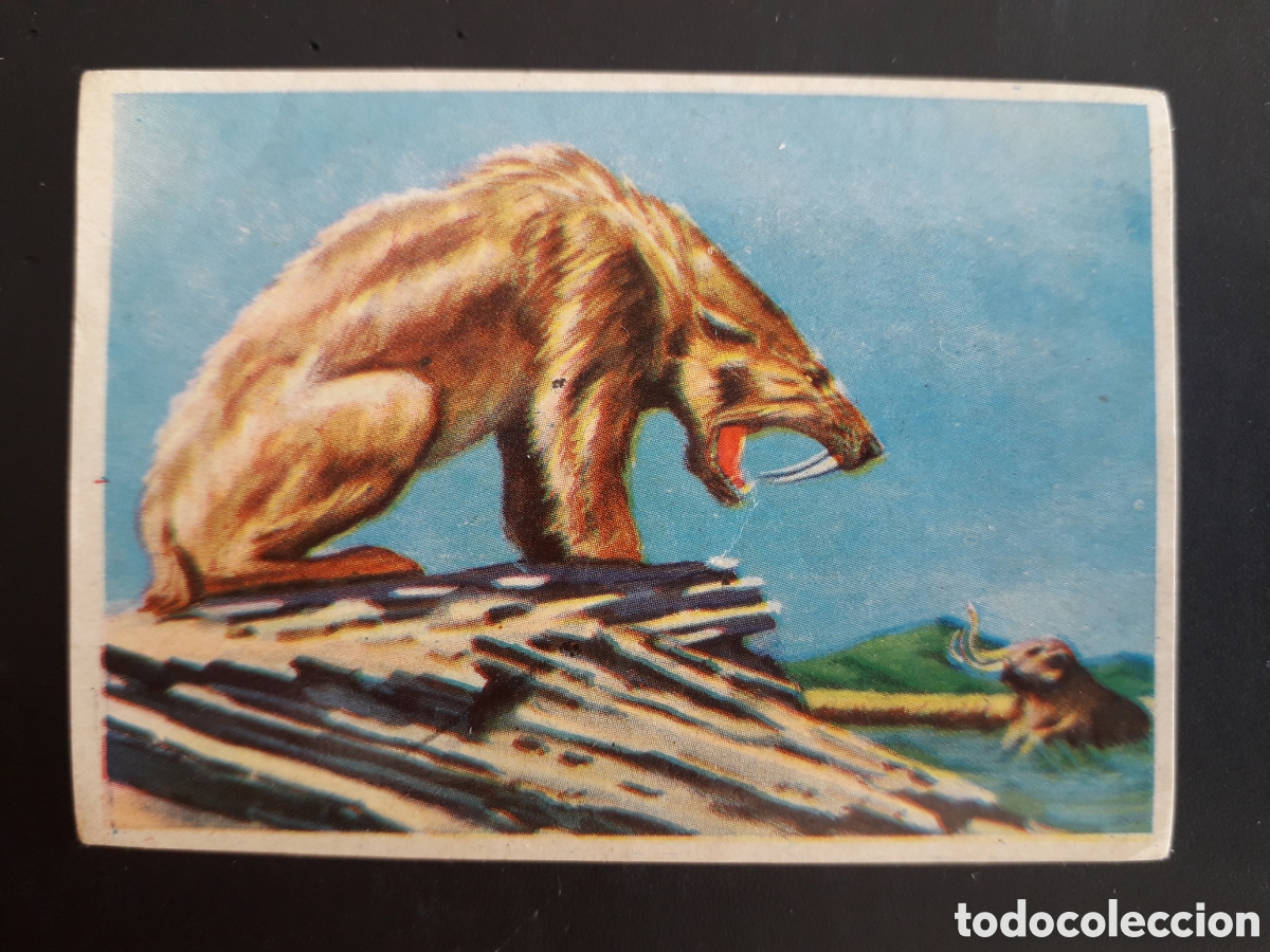 Coleccionismo cromos antiguos: FAUNA PREHIST&Oacute;RICA, CONOCIMIENTOS UNIVERSALES N&deg; 208 BIMBO 1963 SIN PEGAR PEDIDO M&Iacute;NIMO 3&euro;