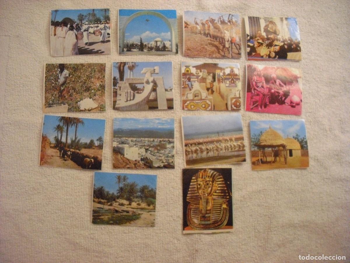 Coleccionismo Cromos antiguos: AFRICA, EL MUNDO A TRAVES DE SUS CONTINENTES . LOTE DE 14 CROMOS , RAM