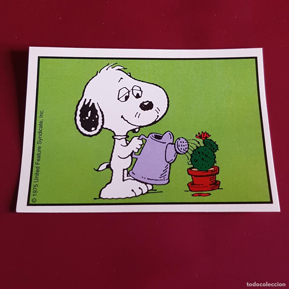 Coleccionismo cromos antiguos: PANINI - SNOOPY 1995 - 95 - 24 - NUNCA PEGADO - Foto 1