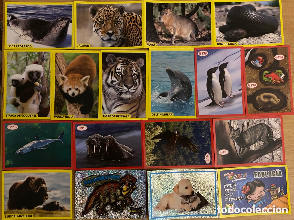 Coleccionismo cromos antiguos: Cromos AMICI CUCCIOLOTTI ANIMALITOS - Foto 1