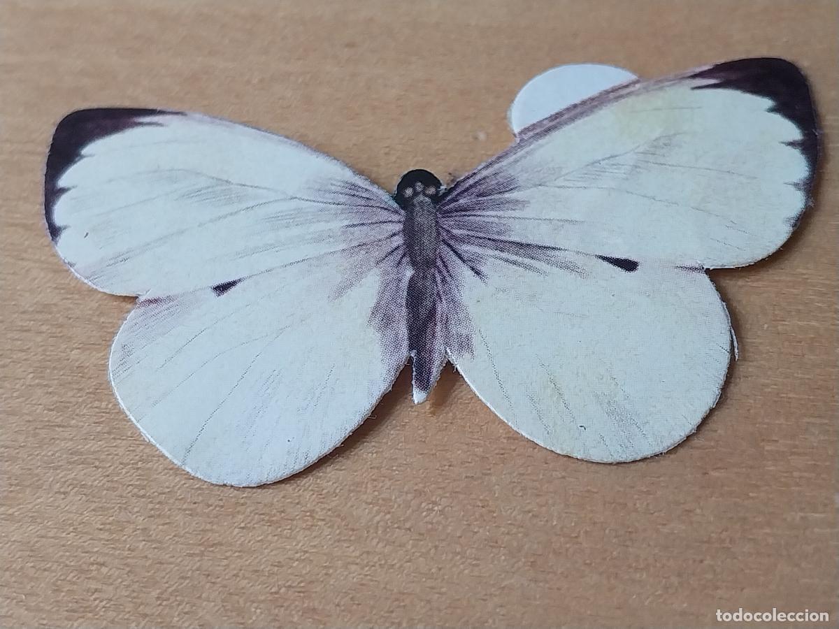 Coleccionismo Cromos antiguos: PANRICO MARIPOSAS PIERIS BRASSICAE N&ordm; 44 CROMO SIN PEGAR NUNCA PREMIO PASTELITOS A&Ntilde;OS 70