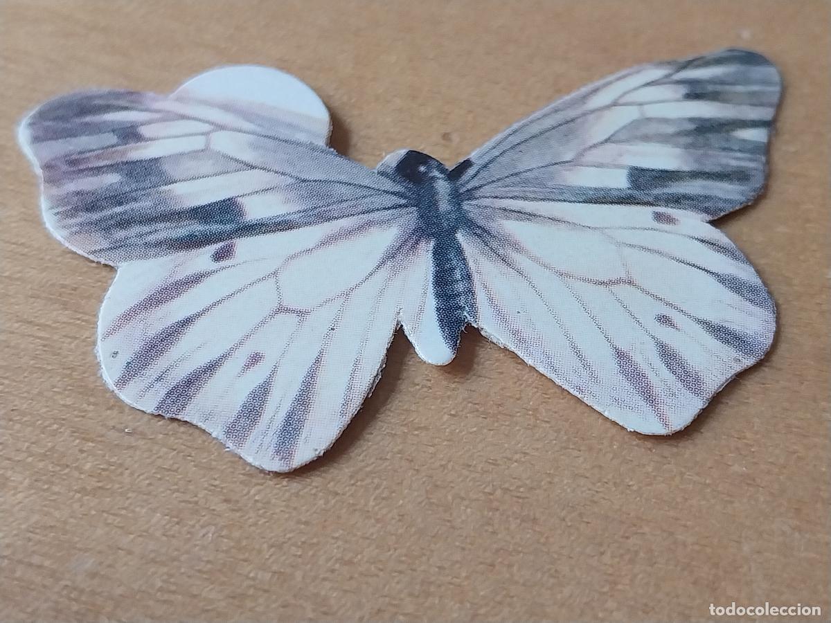 Coleccionismo Cromos antiguos: PANRICO MARIPOSAS PIERIS BRIONIA N&ordm; 1 CROMO SIN PEGAR NUNCA PREMIO PASTELITOS A&Ntilde;OS 70