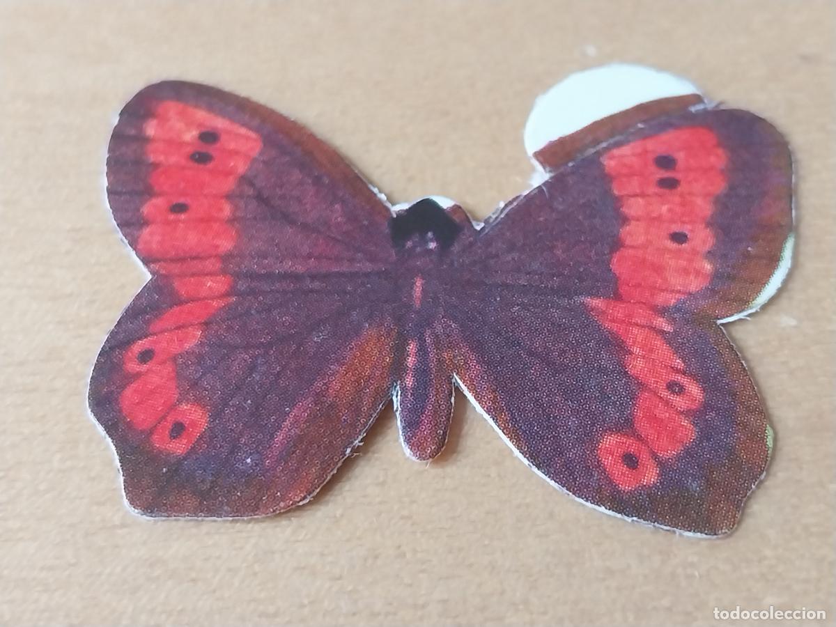 Coleccionismo Cromos antiguos: PANRICO MARIPOSAS SATIRO EURALIA N&ordm; 24 CROMO SIN PEGAR NUNCA PREMIO PASTELITOS A&Ntilde;OS 70