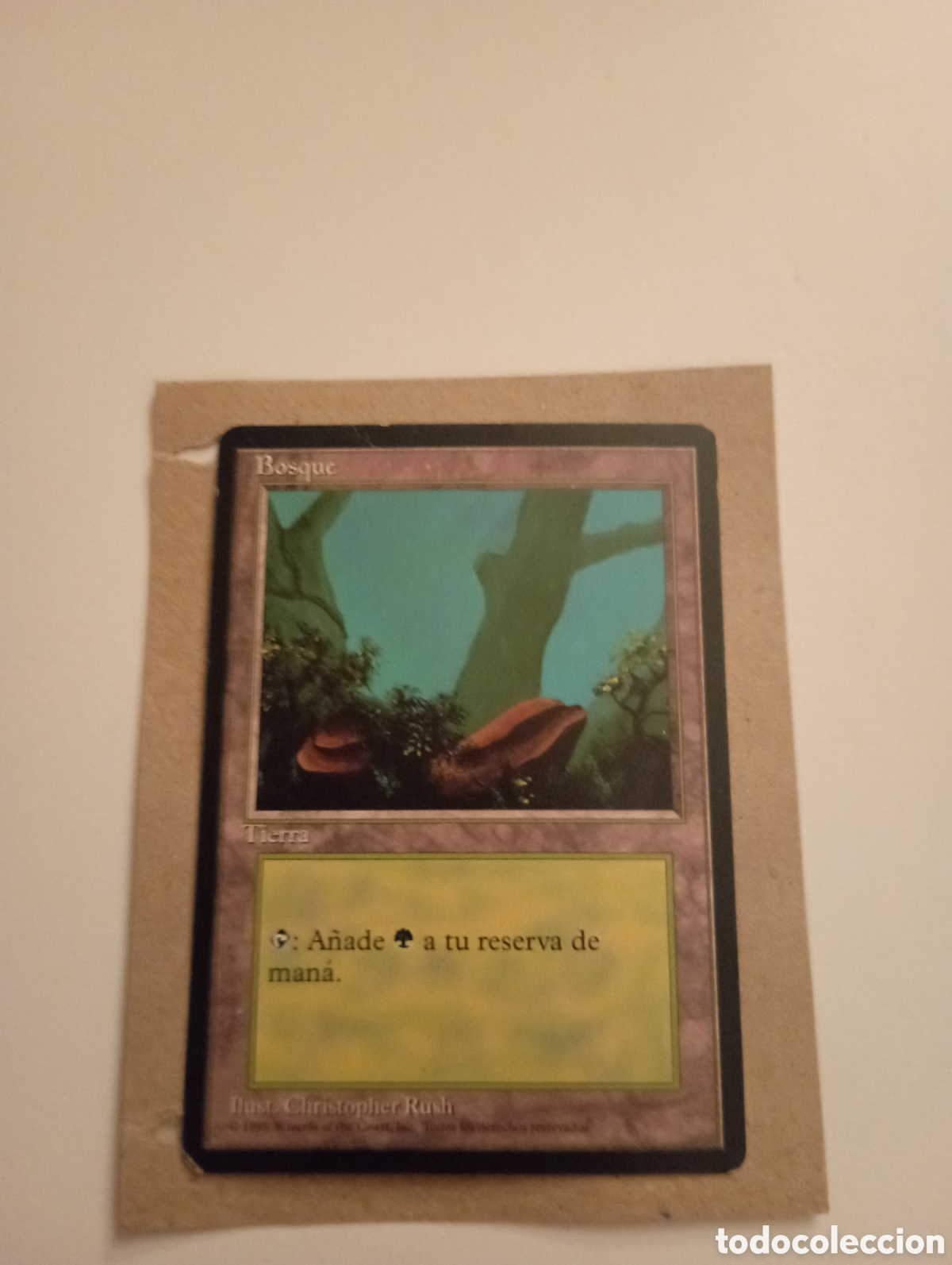 Coleccionismo cromos antiguos: Cartas Magic. El bosque - Foto 1