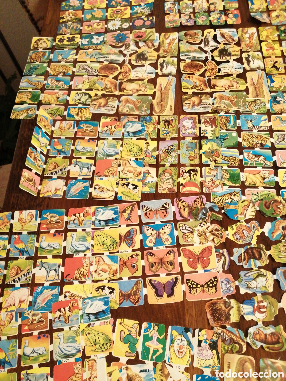 Coleccionismo cromos antiguos: Lote de cromos sin usar - Foto 4