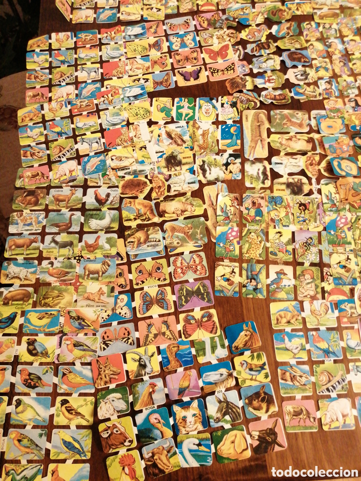 Coleccionismo cromos antiguos: Lote de cromos sin usar - Foto 9