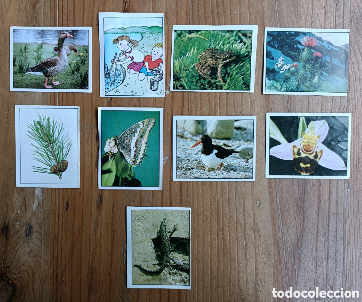 Coleccionismo Cromos antiguos: Lote 9 cromos WWF Naturaleza en peligro 1987 Panini Nuevos, sin pegat