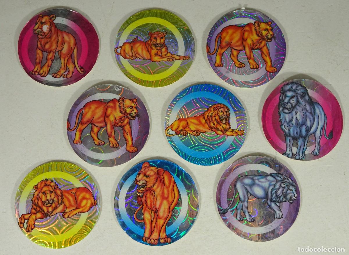 Collectable Antique Stickers: LOTE DE TAZOS LEONES, HOLOGR&Aacute;FICOS, MADE IN TAIWAN, VER FOTOS