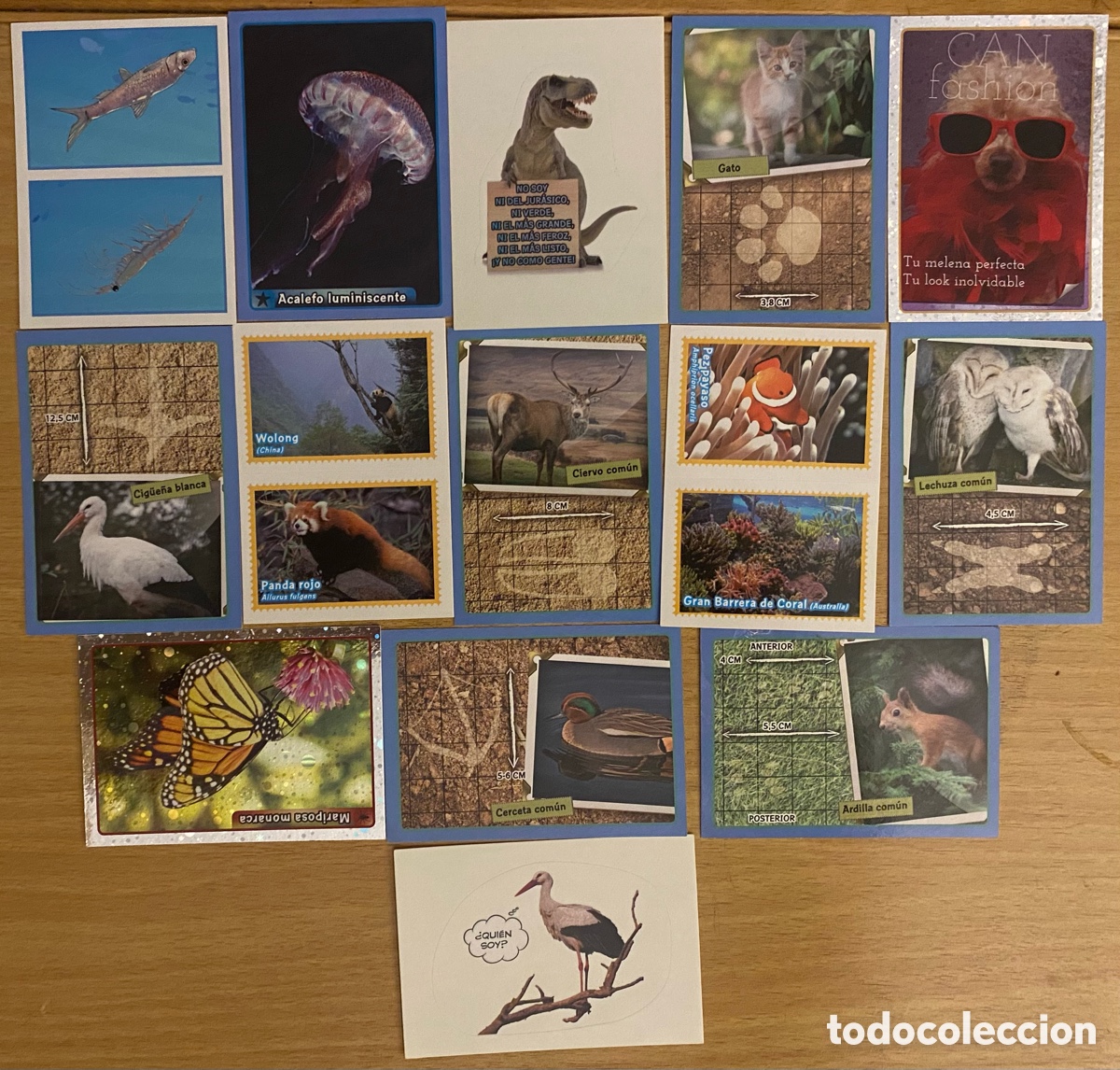 Coleccionismo cromos antiguos: Cromos ANIMALES 2013 - Foto 2