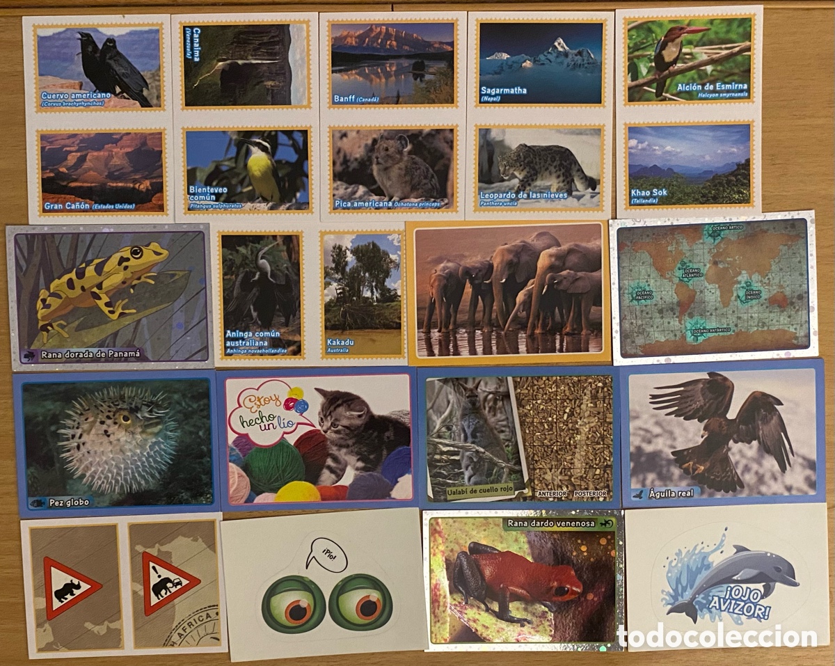 Coleccionismo cromos antiguos: Cromos ANIMALES 2013 - Foto 1