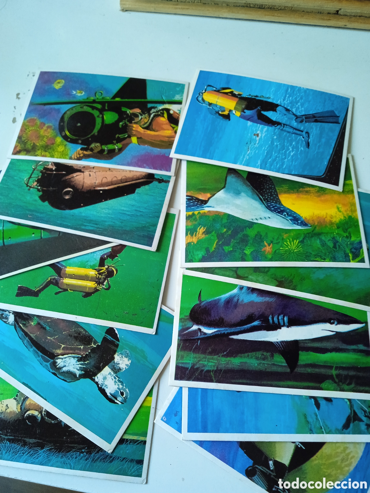 Coleccionismo cromos antiguos: Serie completa colecci&oacute;n cromos El Mar - Foto 1