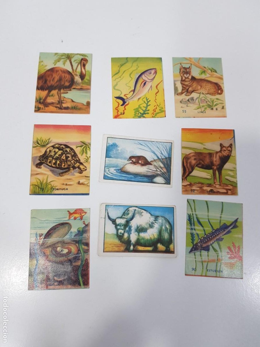 Coleccionismo cromos antiguos: Lote de Cromos antiguos de animales - Foto 1