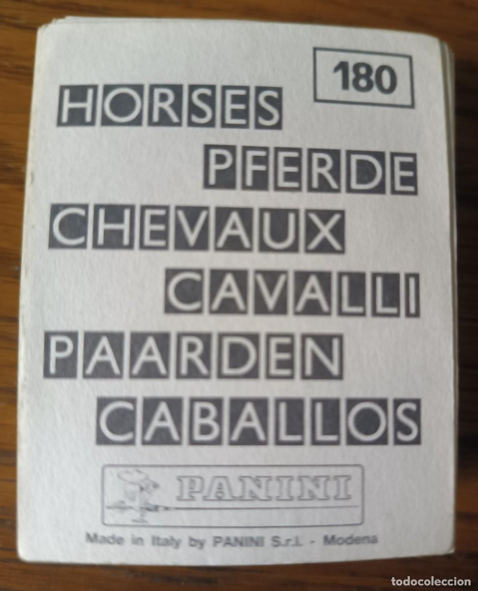 Coleccionismo cromos antiguos: PANINI -- CABALLOS -- 132 DIFERENTES - Foto 1